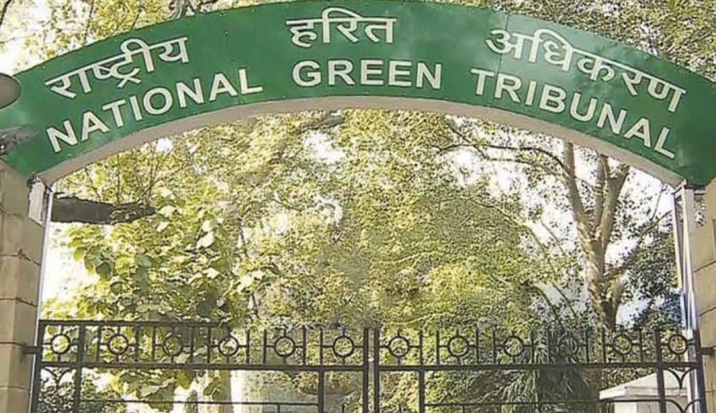 ngt.jpg