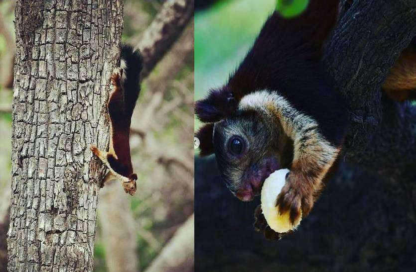 satpura_tiger_reserve_2.jpg