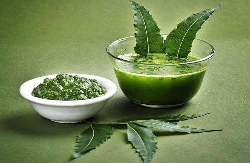 Skin and hair care Skin and hair care : त्वचा और बालों की देखभाल के लिए करें नीम का उपयोग