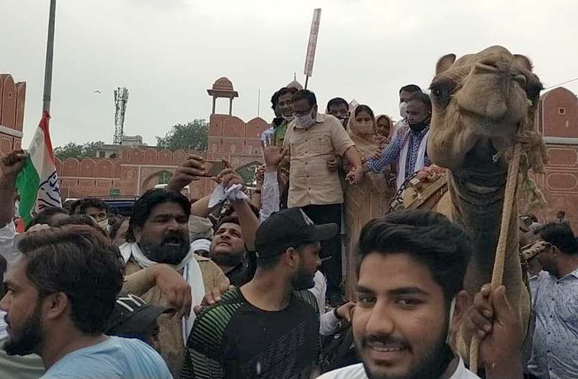 rajasthan congress protest against inflation in jaipur महंगाई के खिलाफ कांग्रेस के विरोध प्रदर्शनों में उड़ी सोशल डिस्टेंसिंग की धज्जियां, जिम्मेदार मौन