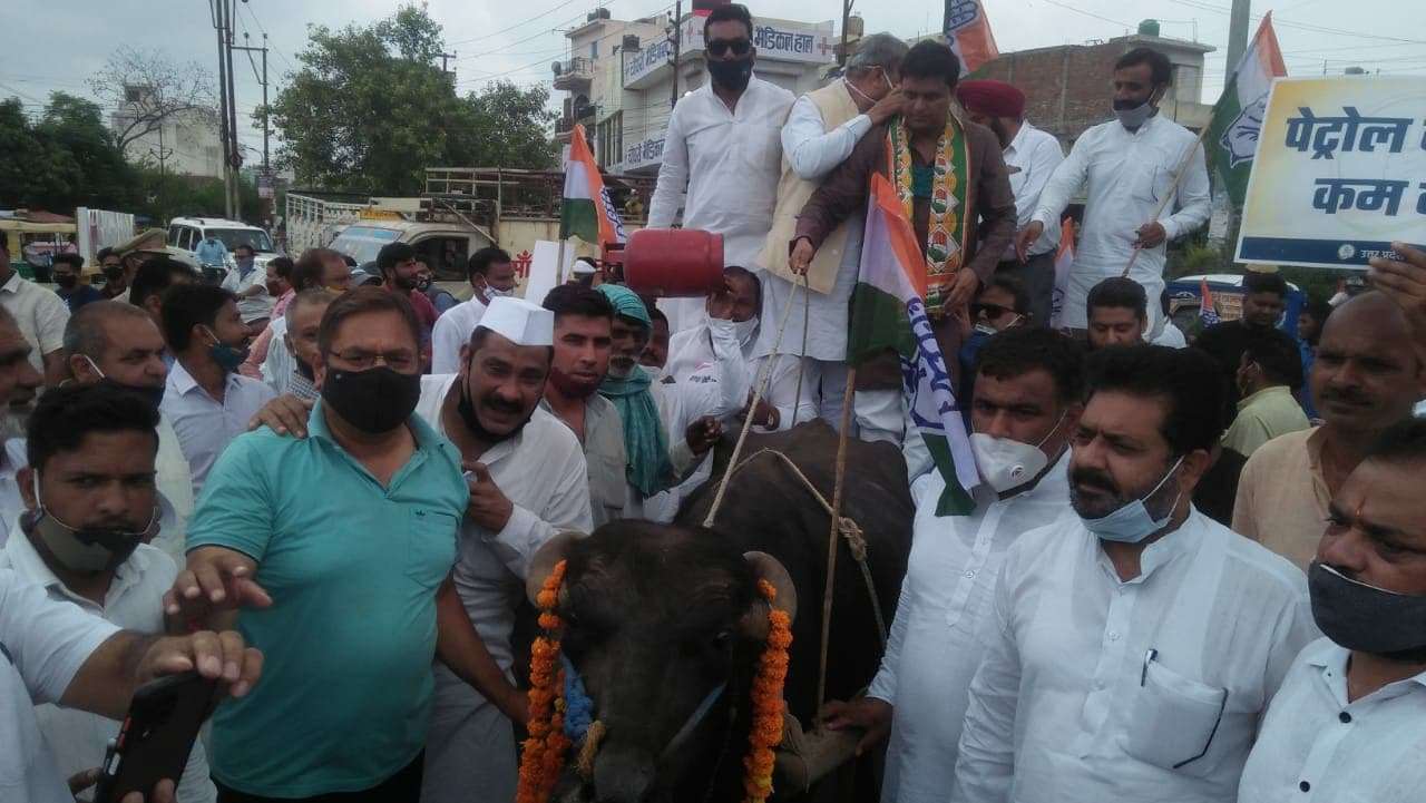 congress-1.jpg