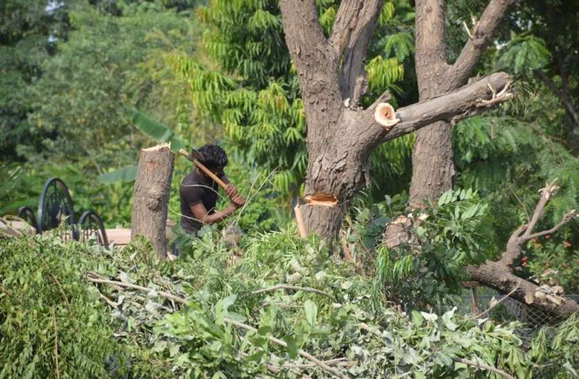 Planting care with resolution पौधरोपण के साथ देखभाल का संकल्प
