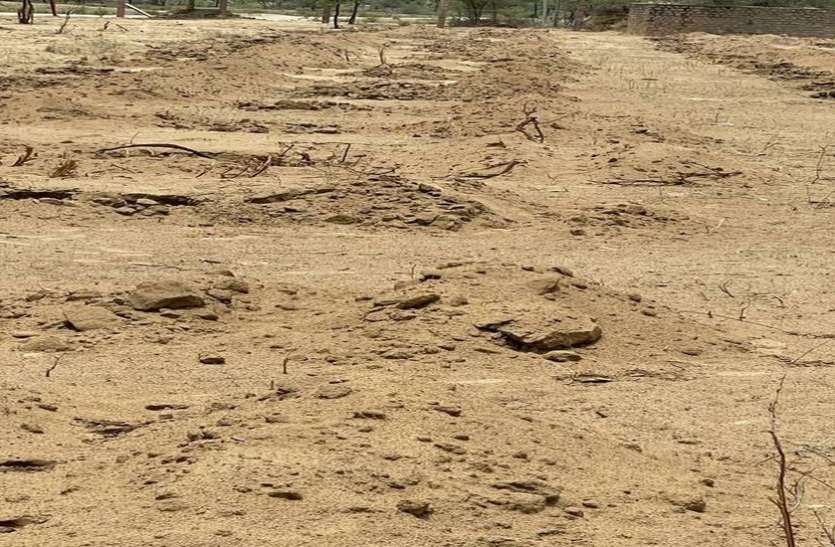ग्रामीण-समाजसेवी मिलकर गायों के लिए तैयार करेंगे ऑक्सीजोन ग्रामीण-समाजसेवी मिलकर गायों के लिए तैयार करेंगे ऑक्सीजोन