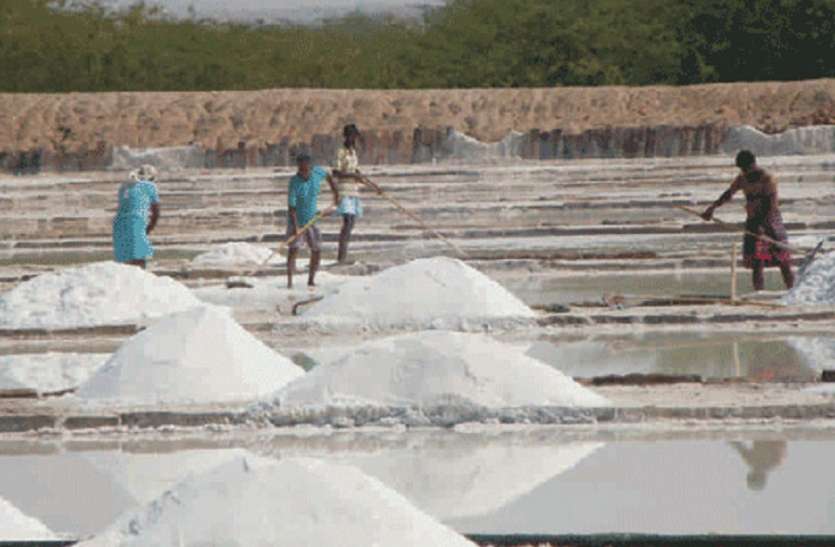 salt production लॉकडाउन के चलते तमिलनाडु का नमक उद्योग प्रभावित, हर साल 25 लाख टन नमक का उत्पादन, तीस हजार श्रमिकों की रोजी-रोटी पर संकट