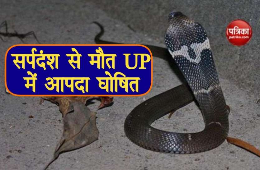 snake bike अब सांप काटने से हुई मौत तो 4 लाख देगी योगी सरकार