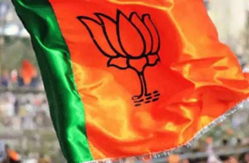 bjp_cg_news.jpg ओबीसी आरक्षण पर बवाल : कांग्रेस विरोध में, भाजपा ने किया दावा- आरक्षण हम ही दिलाएंगे