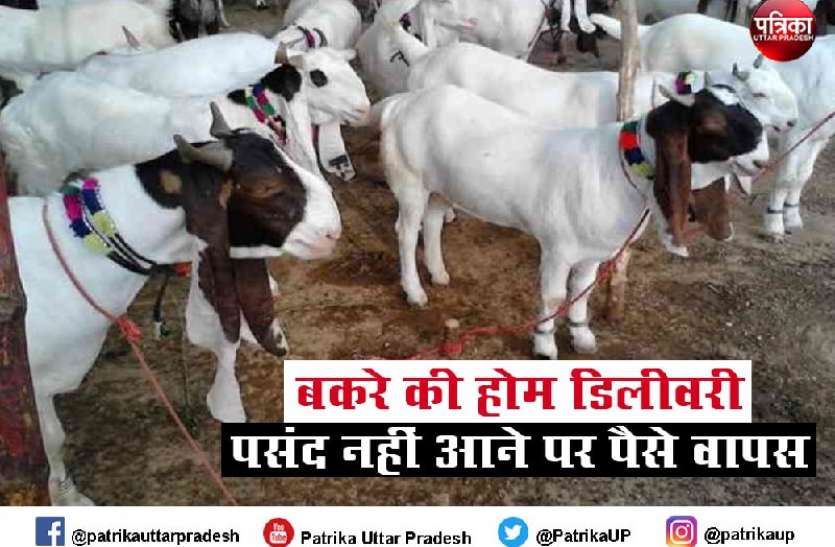 bakrid.jpeg Bakrid 2021: कुर्बानी के लिए बकरों की होम डिलीवरी, पसंद नहीं आने पर पैसे वापस, इतनी है एक बकरे की कीमत
