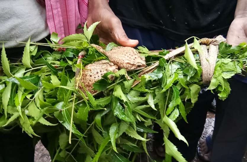 इनका विवाह होते ही शुरू हो गई बारिश इनका विवाह होते ही शुरू हो गई बारिश