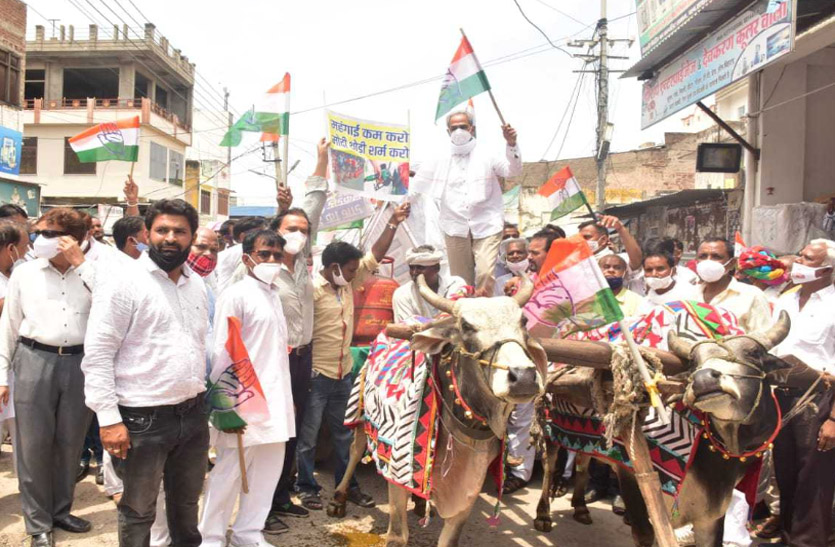 विधायक हरीश चंद्र मीना ने बैलगाड़ी में बैठ महंगाई के विरोध में केन्द्र सरकार के खिलाफ किया प्रदर्शन