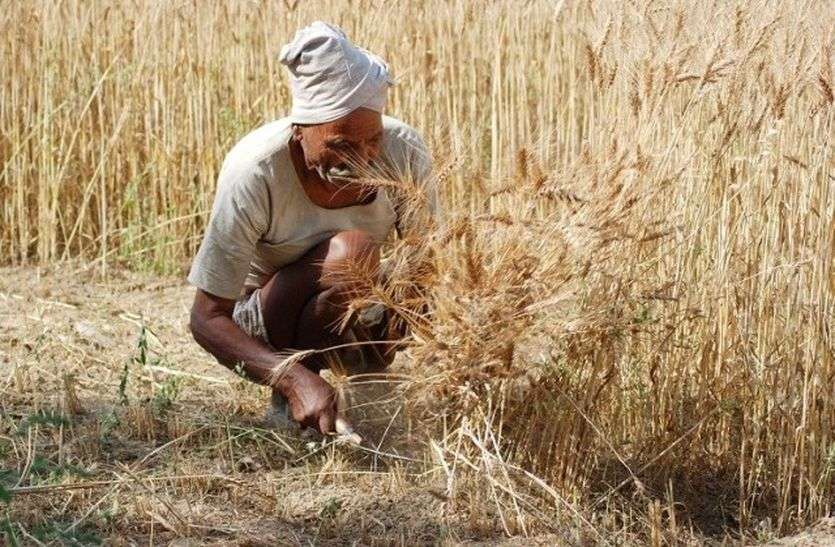42 lakh Ineligible farmers gets Rs. 3000 crore under PM-KISAN Scheme, money to be recovered PM-KISAN Scheme: 42 लाख अपात्र किसानों के पास पहुंच गए 3000 करोड़ रुपये, कृषि मंत्री ने कहा वसूलेंगे रकम