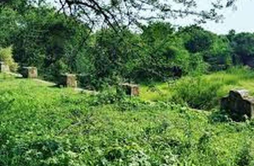 Then the forest became the sail of Madan Sagar फिर जंगल बनी मदन सागर की पाल