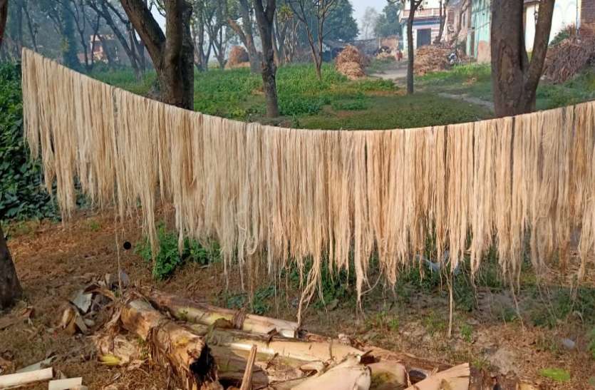 banana_one.jpg जर्मनी- ऑस्ट्रेलिया के लोगों को भा रहा केले के रेशे से बना कपड़ा, हाई डिमांड में पर्स,साड़ी और जैकेट
