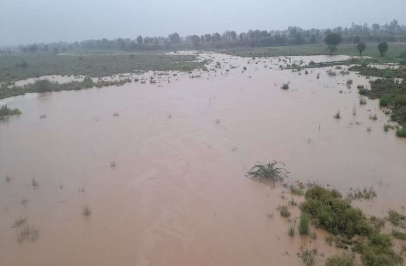 Rain In Alwar 2021: Continue Two Days Rain In Alwar District अलवर में दो दिन झमाझम के बाद रुकी बारिश, बांधों में आया पानी, जानिए किस क्षेत्र में कितनी बरसात हुई