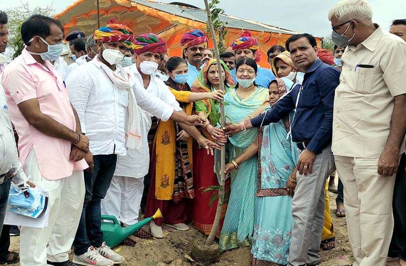 27 बीघा चरागाह भूमि पर लगेंगे 2 हजार पौधे 27 बीघा चरागाह भूमि पर लगेंगे 2 हजार पौधे