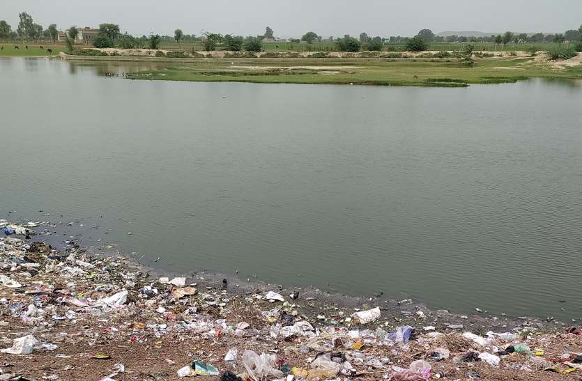 सिंघाड़े की फसल पर बारिश की कमी का साया सिंघाड़े की फसल पर बारिश की कमी का साया