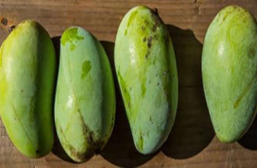 MANGO DAY SPECIAL---हर रोज 8 ट्रक आम खा जाते है जोधपुरवासी MANGO DAY SPECIAL---हर रोज 8 ट्रक आम खा जाते है जोधपुरवासी