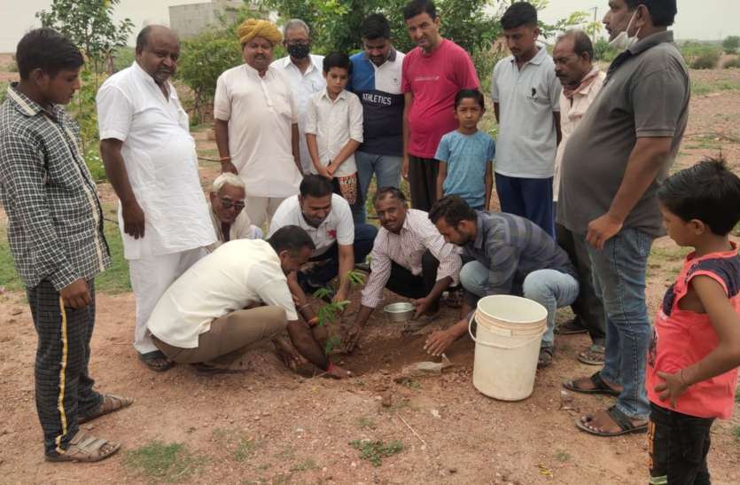 विभिन्न जगहों पर पौधरोपण, पर्यावरण संरक्षण का संकल्प विभिन्न जगहों पर पौधरोपण, पर्यावरण संरक्षण का संकल्प