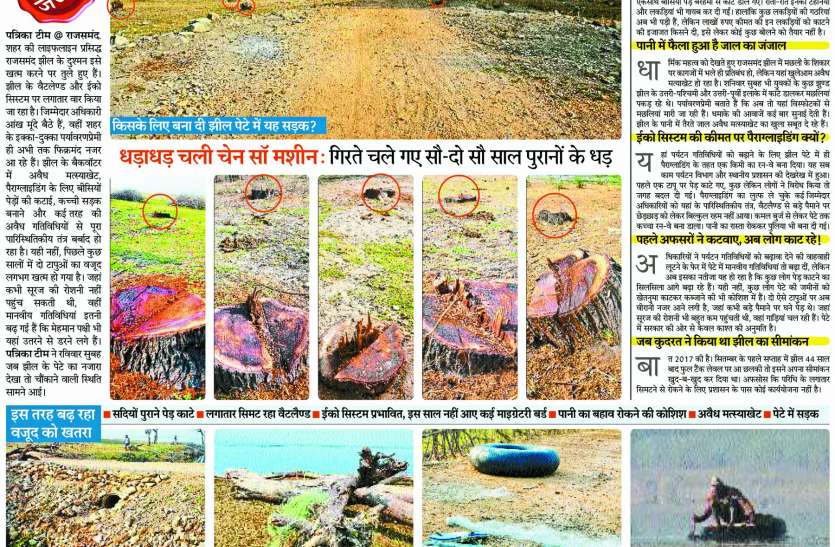 राजसमंद झील पेटे में पेड़ काटने पर रोक राजसमंद झील पेटे में पेड़ काटने पर रोक