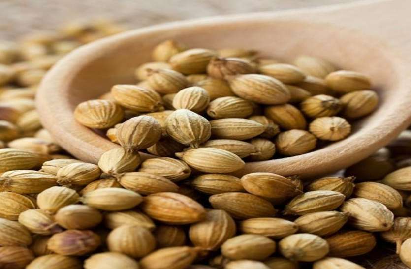 Side effects of coriander seeds जानिए धनिया के बीज से कौन-कौन से दुष्प्रभाव हो सकते हैं