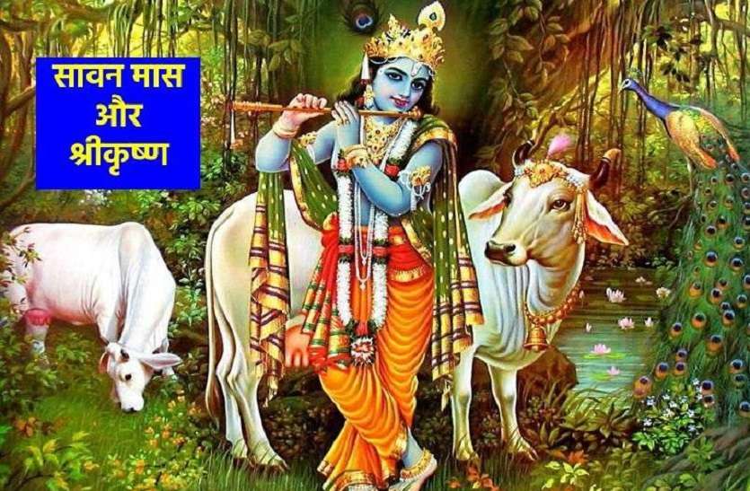 shri_krishna_on_sawan.jpg