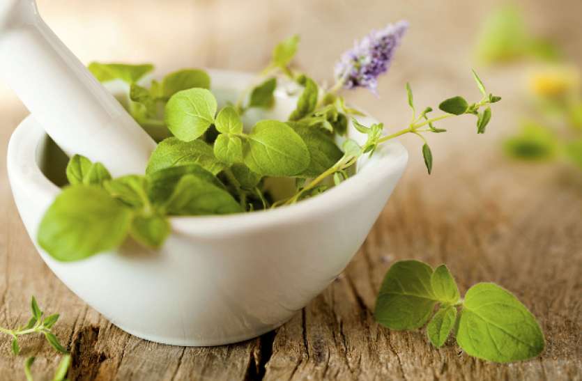 beauty.jpg Beauty Tips: स्किन और बालों की समस्या से पाएं छुटकारा, जरूर आजमाएं ये हर्बल दवाएं