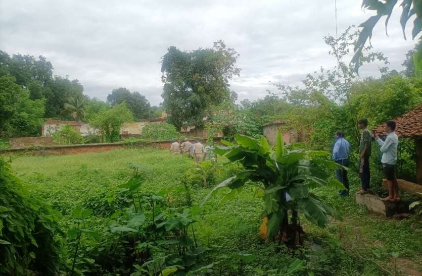 Information of tiger baby in residential area, forest officials told r रिहायशी क्षेत्र में बाघ के बच्चे की सूचना, वन अधिकारियों ने बताया अफवाह