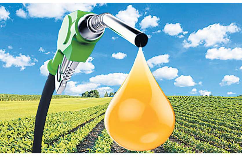bio_diesel.jpg नकली बायोडीजल कैसे पहचानें?