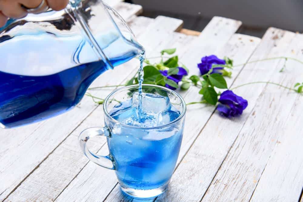 Know how this blue flower tea will remove fatigue and make you fit, read now