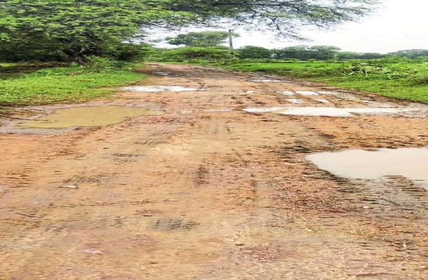 cms_image-1 40 वर्ष से ग्रामीण कर रहे सड़क की मांग, स्वीकृति के बाद भी भूला विभाग