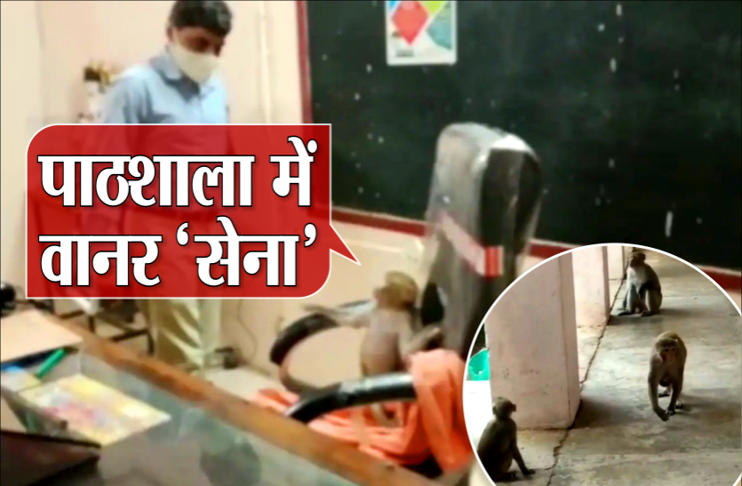 vanar_sena1.png पाठशाला में वानर 'सेना', क्लास रूम से लेकर प्रिंसिपल के रूम पर जमाया कब्जा