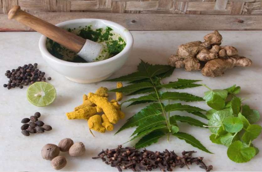 health tips Health Tips: सेहत से जुडी परेशानियों को आसानी से दूर करेंगे ये आयुर्वेदिक नुस्खे, ऐसे करें तैयार