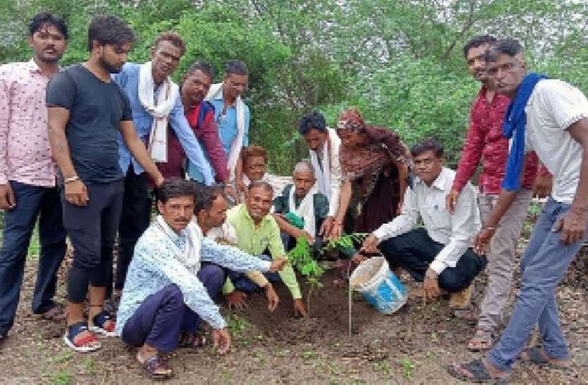 प्रकृति को हरा-भरा करने का लिया संकल्प प्रकृति को हरा-भरा करने का लिया संकल्प