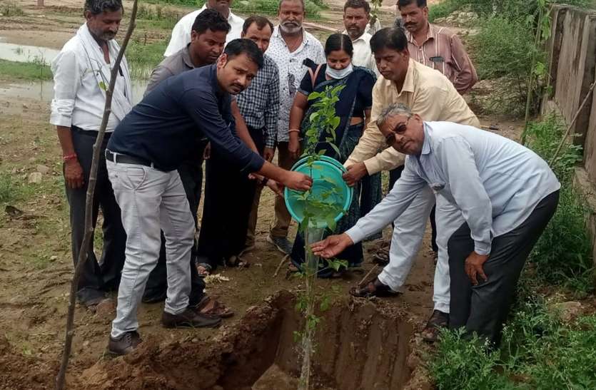 विकसित होगी गांधी वाटिका, हरियाली से संवरेगा औद्योगिक क्षेत्र विकसित होगी गांधी वाटिका, हरियाली से संवरेगा औद्योगिक क्षेत्र