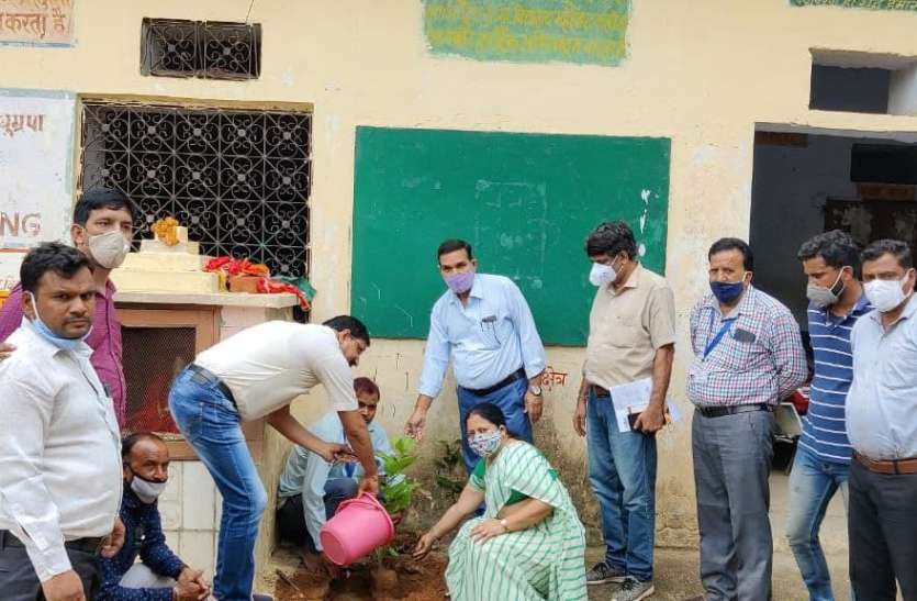 पेड़-पौधों के बिना जीवन संभव नहीं पेड़-पौधों के बिना जीवन संभव नहीं