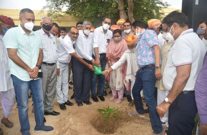 एक हजार पौधे रोपित कर ली पर्यावरण संरक्षण की शपथ एक हजार पौधे रोपित कर ली पर्यावरण संरक्षण की शपथ