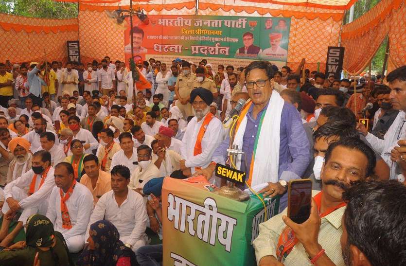 governmen इलाके में चल रही है मामा-भांजे की सरकार