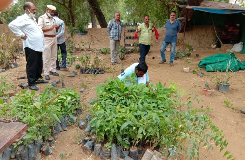 न्यास ने ढोला मारू के सामने से हटवाए ठेले और नर्सरी न्यास ने ढोला मारू के सामने से हटवाए ठेले और नर्सरी