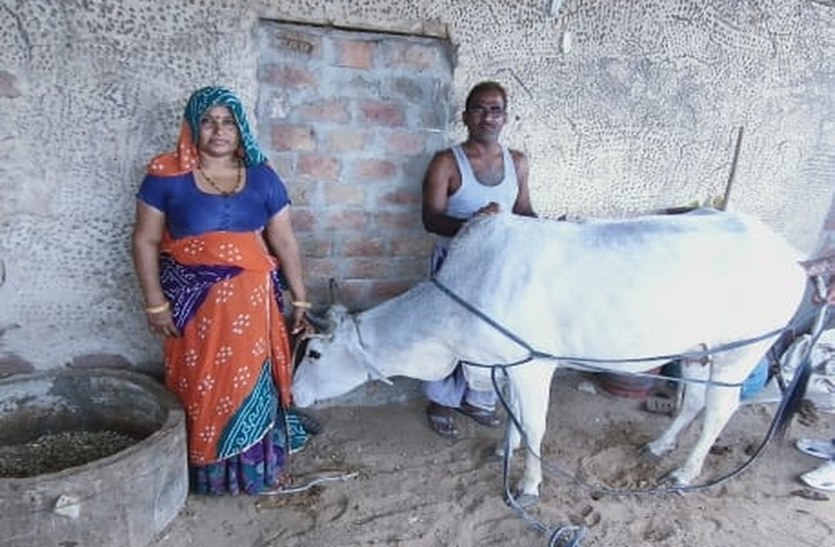 जिले के प्रगतिशील पशुपालक होंगे सम्मानित जिले के प्रगतिशील पशुपालक होंगे सम्मानित