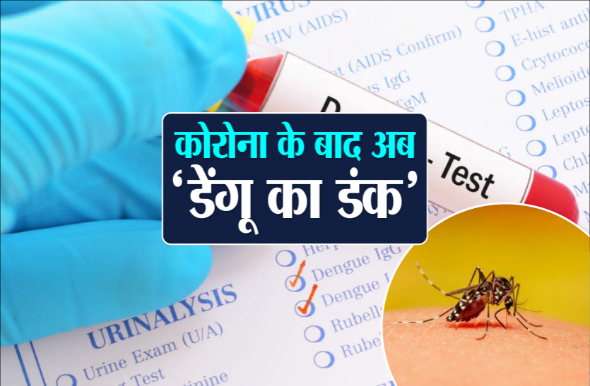 dengue.png कोरोना की तीसरी लहर से पहले रहें सावधान, लगातार बढ़ रहे हैं डेंगू और मलेरिया के मामले, कलेक्टर ने दिए निर्देश