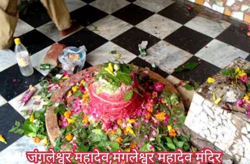 गाय एक निश्चित स्थान पर जाकर दूध देने लगती थी, भक्तों ने खुदाई की तो निकला शिवलिंग, सबकी मनोकामना पूरी करते हैं गजरेश्वर महादेव गाय एक निश्चित स्थान पर जाकर दूध देने लगती थी, भक्तों ने खुदाई की तो निकला शिवलिंग, सबकी मनोकामना पूरी करते हैं गजरेश्वर महादेव