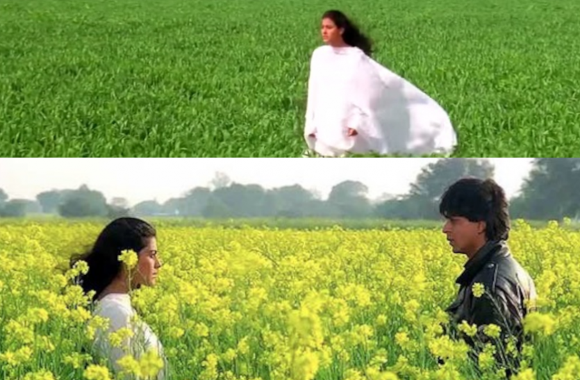 mistakes_in_movies_ddlj.png देरी से बारिश का मुकाबला करेंगी कम समय में तैयार होने वाली फसलें