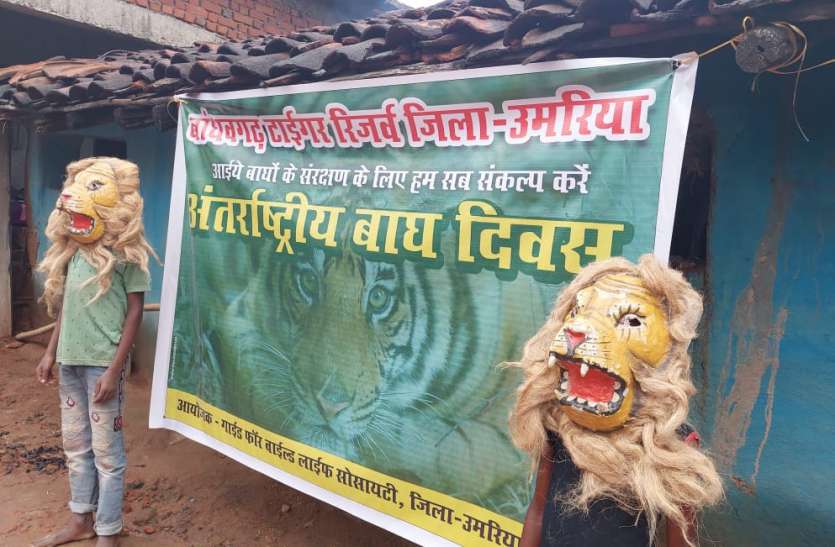 Nature and tigers are worshiped like deities देवी देवताओं की तरह पूज्य है प्रकृति और बाघ