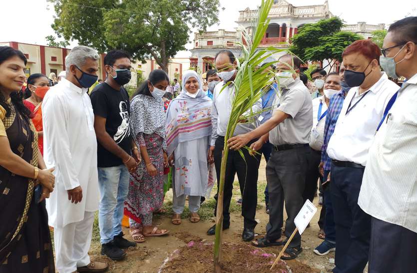पौधे लगाकर किया गांधी वाटिका का निर्माण पौधे लगाकर किया गांधी वाटिका का निर्माण
