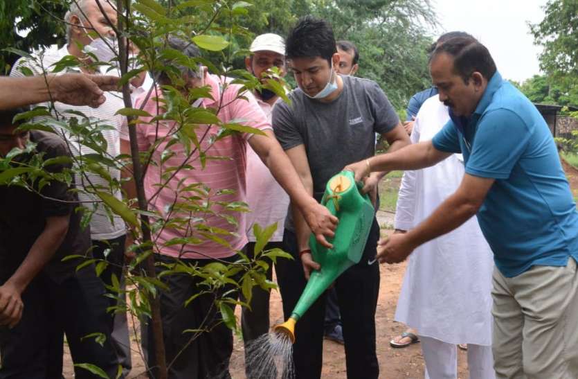 जेडीसी ने खादी ग्रामोद्योग में लगाए पौधे, जवाहर सर्किल का किया निरीक्षण जेडीसी ने खादी ग्रामोद्योग में लगाए पौधे, जवाहर सर्किल का किया निरीक्षण