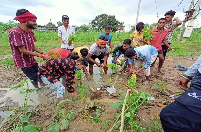 खेत में नहीं अधूरी सड़क पर धान रोपकर सरकार को दिखाया आईना, एक करोड़ स्वीकृत हुआ, 6 साल बाद भी पूरा नहीं हुआ काम खेत में नहीं अधूरी सड़क पर धान रोपकर सरकार को दिखाया आईना, एक करोड़ स्वीकृत हुआ, 6 साल बाद भी पूरा नहीं हुआ काम