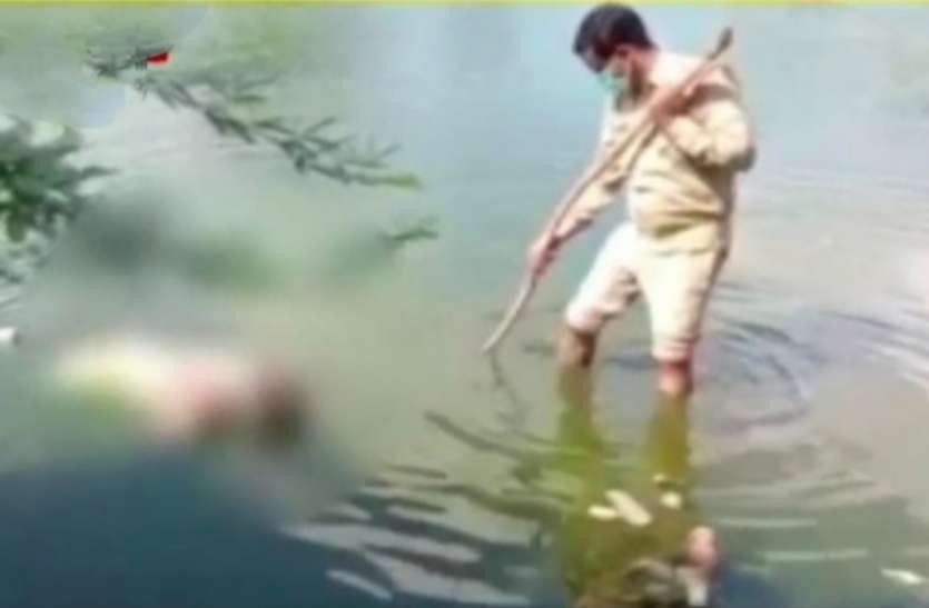 सस्पेंस बरकरार - पत्नी की हत्या में आरोपी पति का शव तालाब में मिला, क्या कहती है पुलिस सस्पेंस बरकरार - पत्नी की हत्या में आरोपी पति का शव तालाब में मिला, क्या कहती है पुलिस