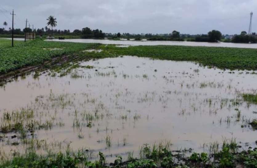 , बारिश से बागवानी और कृषि फसल बर्बाद