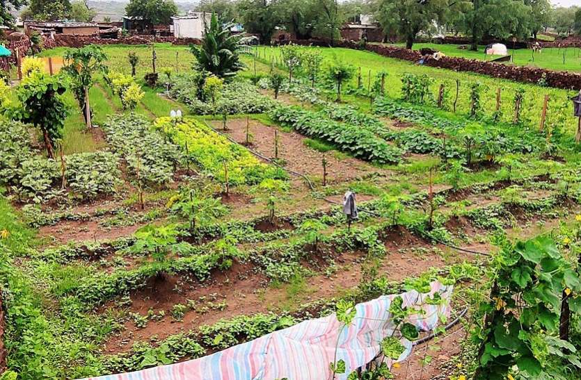 आदर्श न्यूट्रीगार्डन में मिलेंगे ताजा फल और सब्जियां आदर्श न्यूट्रीगार्डन में मिलेंगे ताजा फल और सब्जियां
