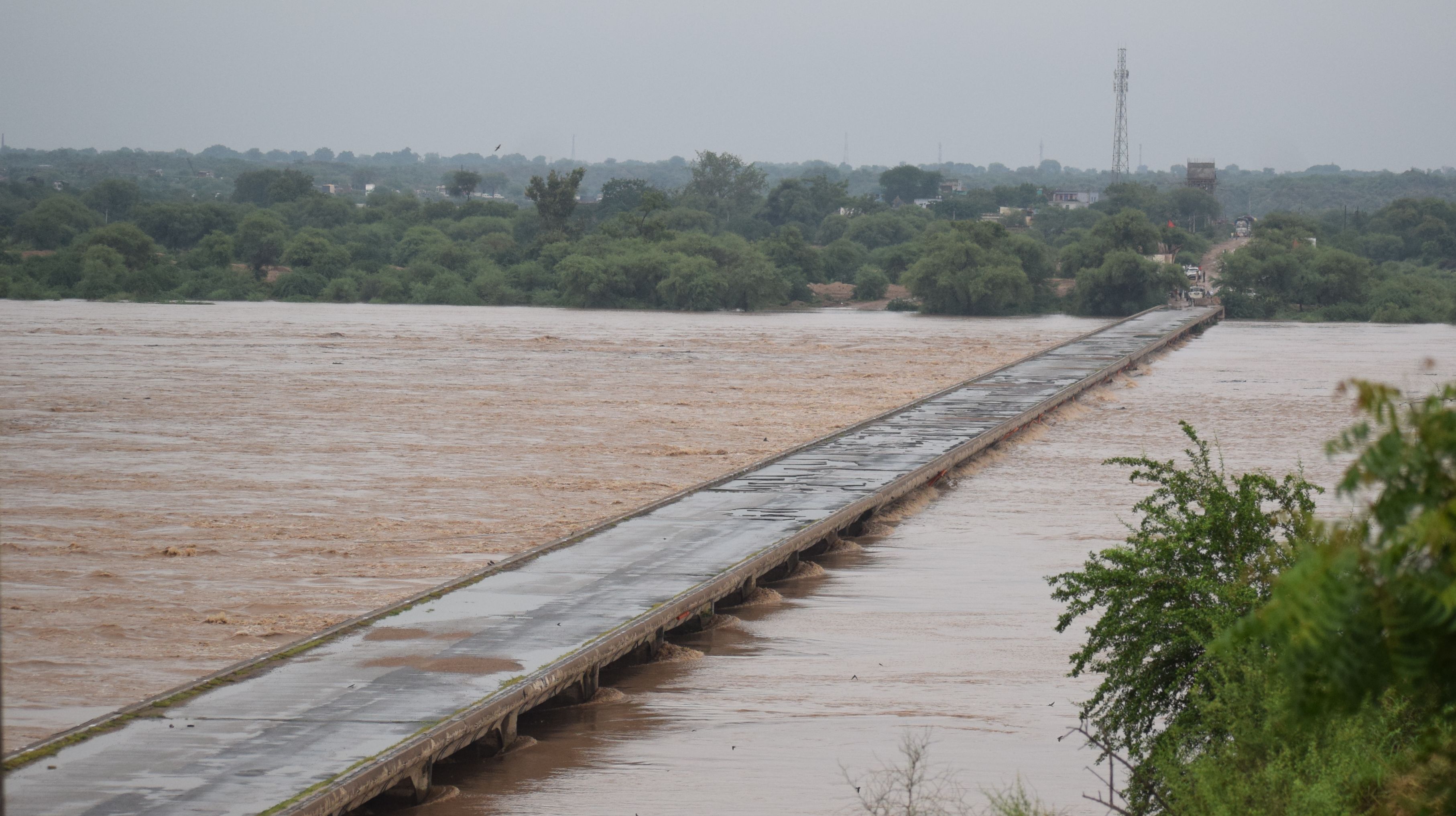 Flood situation in Dholpur, Chambal river ten meters above the danger |  धौलपुर में बाढ़ के हालात, चंबल नदी खतरे के निशान से दस मीटर ऊपर | Patrika  News