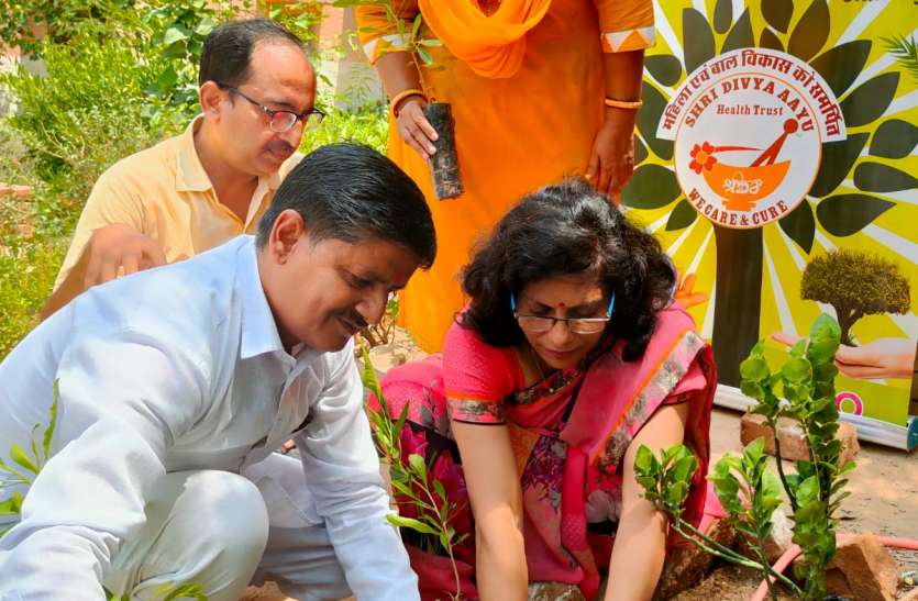 खेत को हर्बल गार्डन में तब्दील करने का संकल्प खेत को हर्बल गार्डन में तब्दील करने का संकल्प